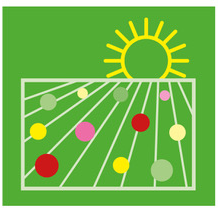 logo_Solawi_Thurnfeld